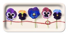 Bild von Michael Angove Pansy Tray 32x15 - Jamida of Sweden